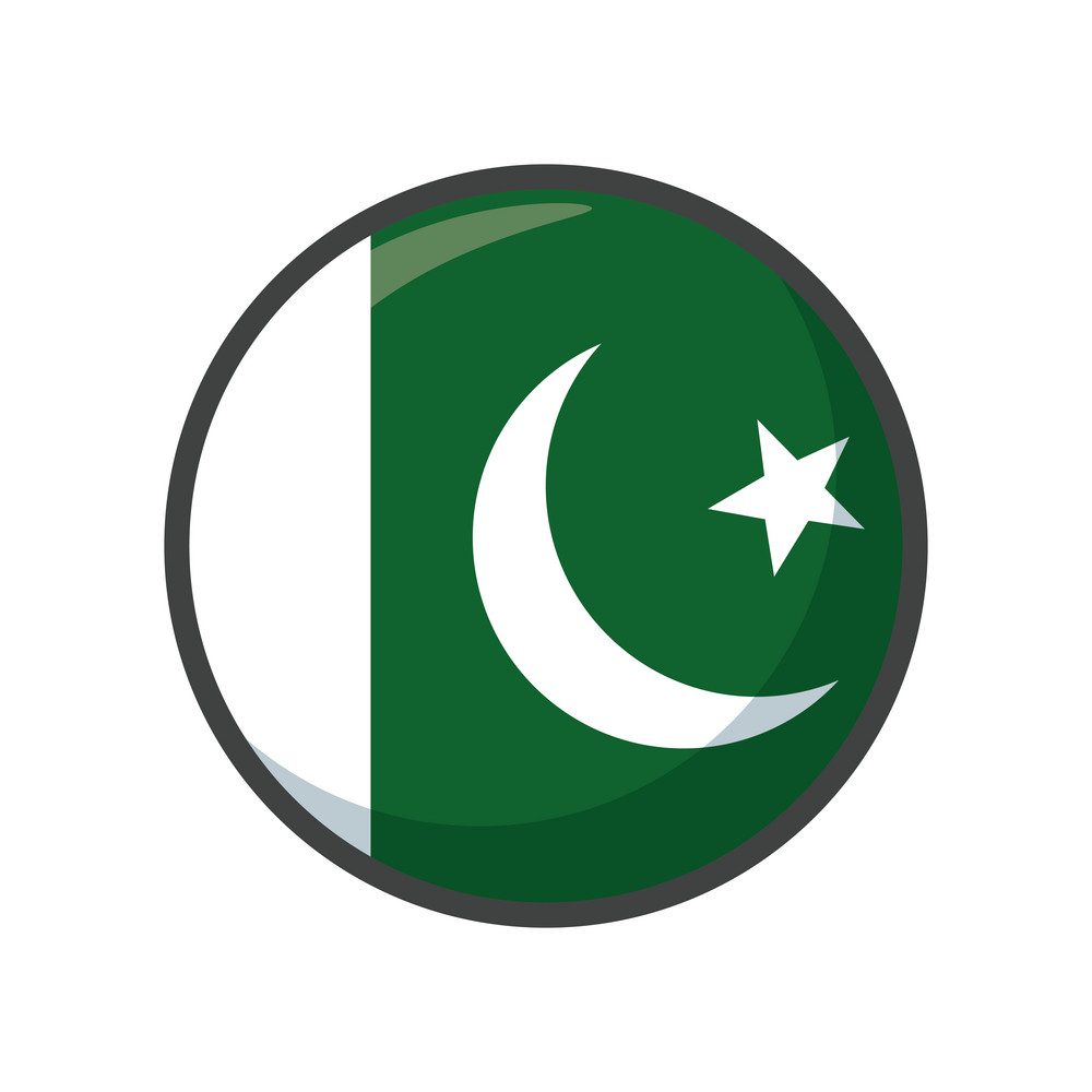pakistan flag design, country national state patriotism united world and international theme Vector illustration